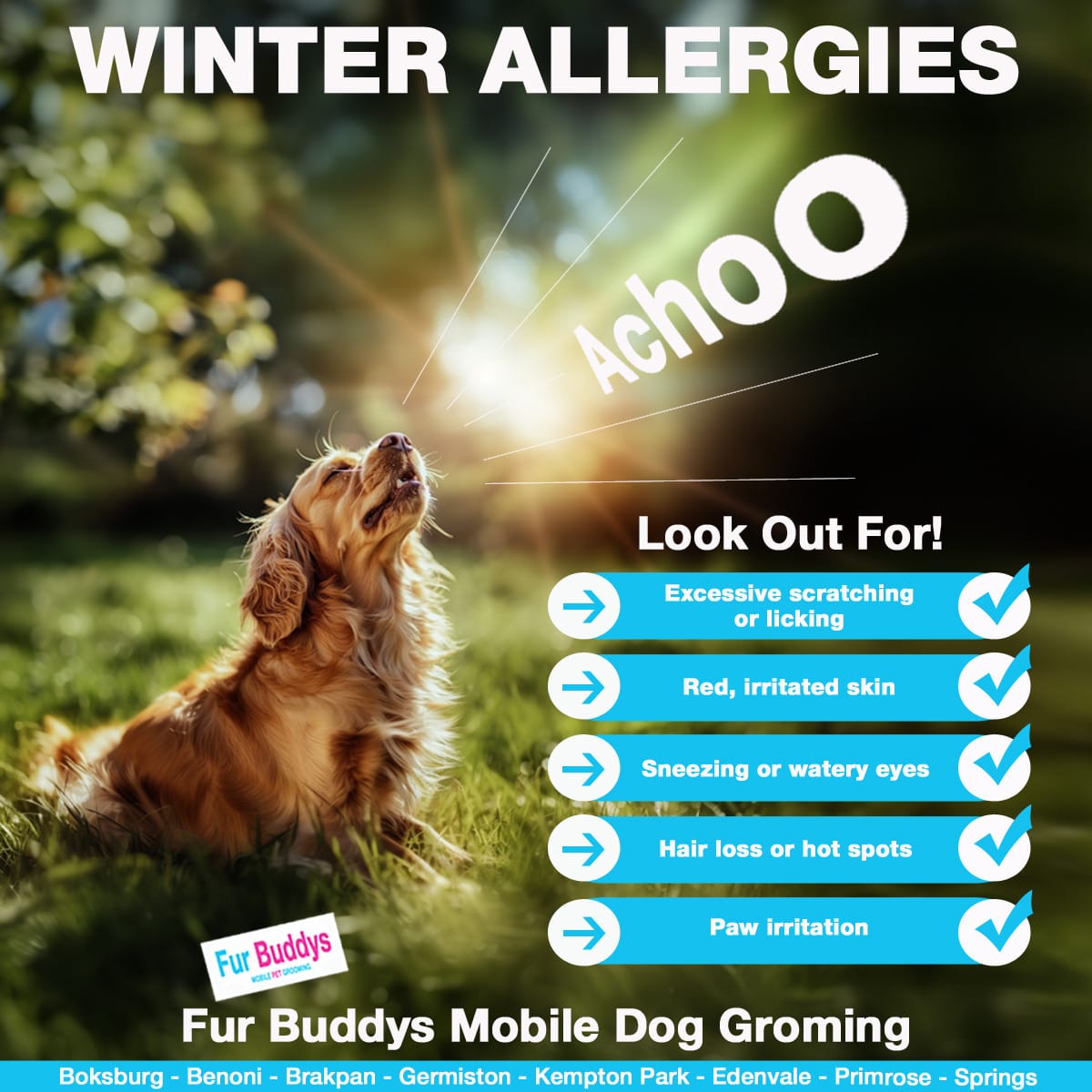 Signs to look out for if you suspect that your dog might be suffering from seasonal or environmental allergies as a result of winter conditions in South Africa.