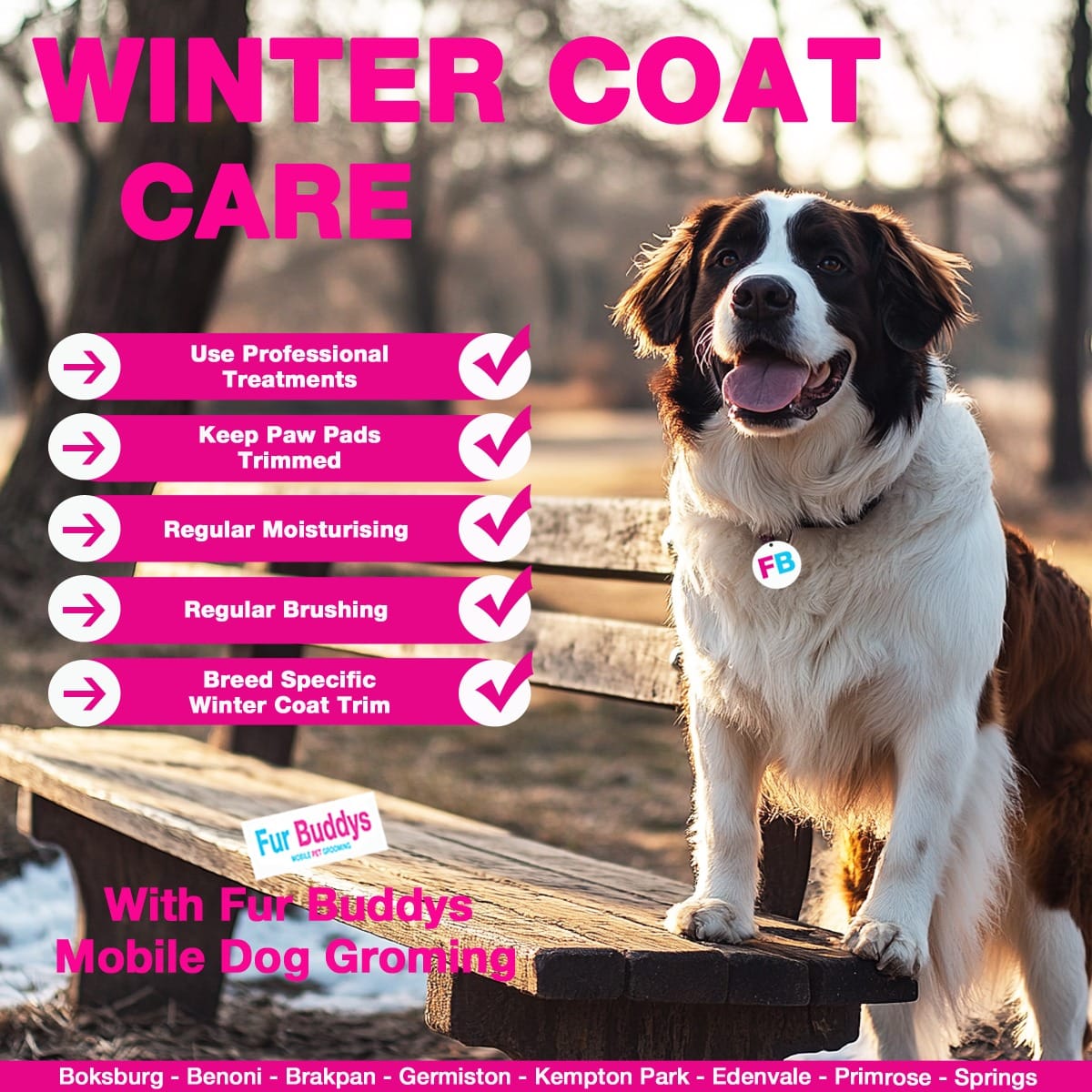 Winter dog grooming Double-coated breeds Dog coat care Winter pet care Dog skin moisturizing Paw protection Mobile dog grooming Preventing dog matting Cold weather dog care Winter coat maintenance